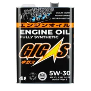 Gigas. 5W-30, �������������, 4��. ����