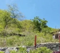 ��������� ������� � ����������� ����������� � ��� �����������. ��� 1��&sup2;, ������� 10����., ���, ����: ��������, ������������� 15 ���. ������� ����...