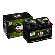 Ceil. 74��.�., L3, ������������ ����� ����