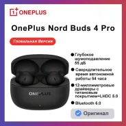 ���������. ����