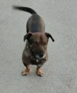 ������. ����