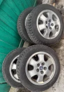 Evergreen. ������, ����������, �/�, ����� 5 % ����