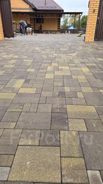 ���������. ����