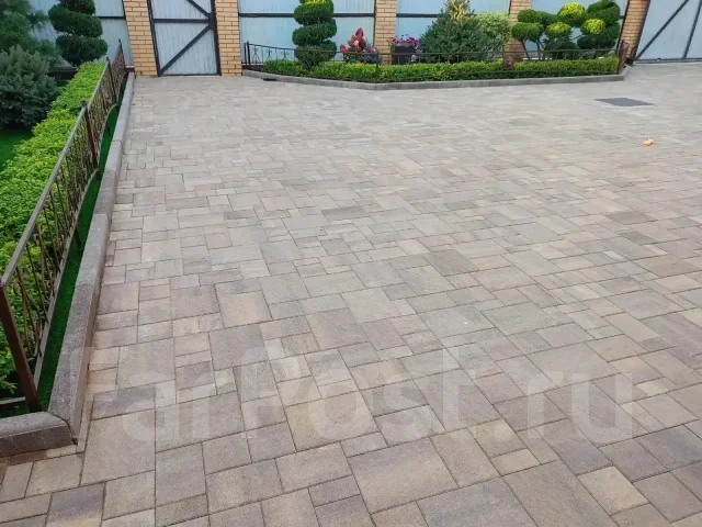 ���������. ����