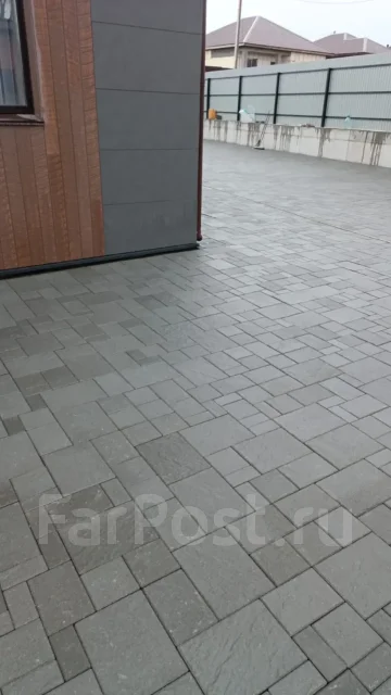 ���������. ����