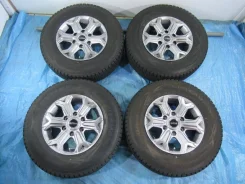Dunlop Wild Cruising
