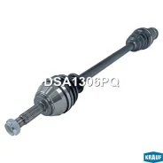 ������ ������ ������ ��� ��� ����� 21 ��� DSA1306PQ DSA1306PQ ����