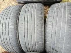Nordman SZ. ������, �/�, ����� 60 % ����