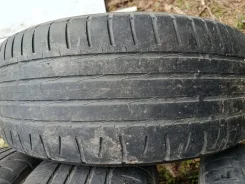 Nordman SZ. ������, �/�, ����� 60 % ����