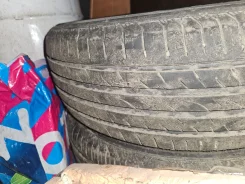 Roadstone Eurovis Sport 04. ������, 2024 ���, �/�, ����� 10 %. ��������� ����