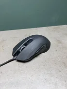 ���� �������. ����