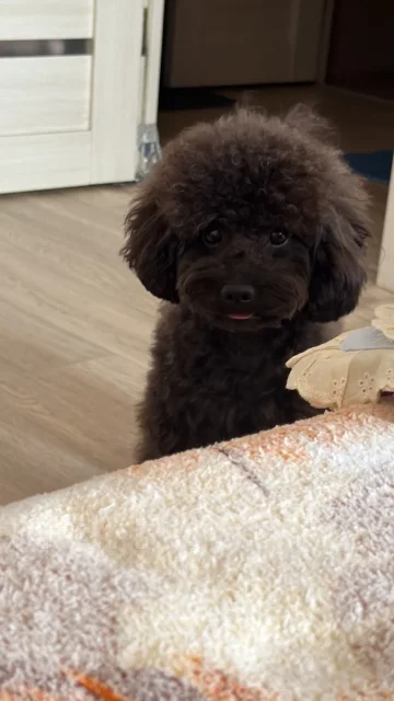 ������. ����