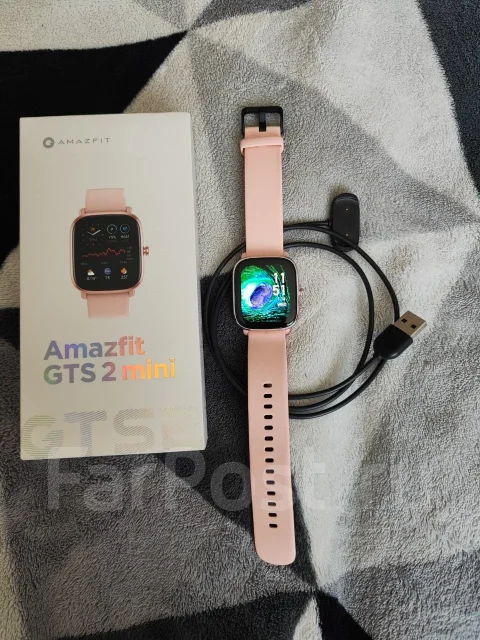 Amazfit GTS 2 mini ����