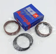 ������ ��������� + 0,50 �� �������� Nissan 1,2L CR12DE (71,5*1,2*1,2*2,0) �� 1 ������� Mousson Srscr12DE050 SRSCR12DE050 ����