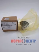 ��������� Sonata NF 08-10 25500-25001 (2.4i ) Hyundai/KIA 2550025001 ����