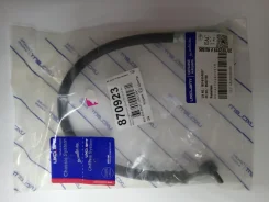 ����� ��������� Epica 06-12 RR RH 96437798, ������ ������ 501610RG07 ����