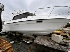 Bayliner. 1991 ���, ����� 7,8��., ��������� ������������, ������ ����
