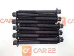 ���� ������� ����� ��������� (���) Nissan X-Trail T31, MR20DE, 2006-2026 (�������� 10 ����) (�11x1.25x123) 11056EN200 ����