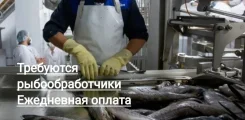 ��������������. �� ������ �.�. ���������� ��-����, ������� ����� ����