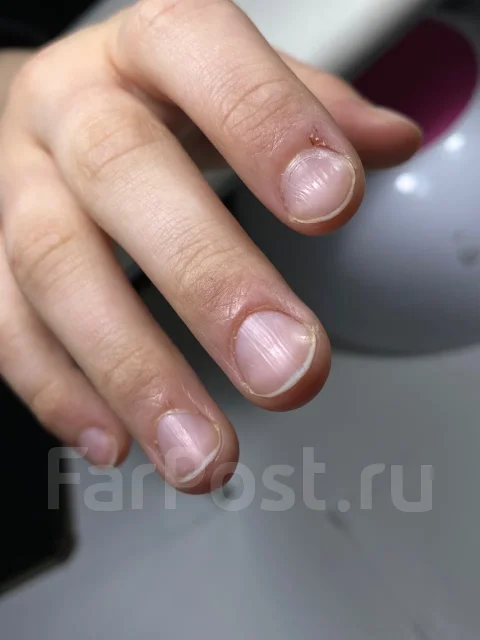 ������ ������� ����