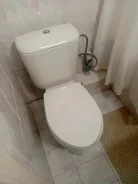 ��������� ����������. ����