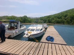 Bayliner. 1987 ���, ����� 6,1��., ��������� ������������, 225��.�., ������. ��� ����� �� ������������ ����
