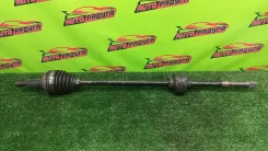 ���� �������� �������� NCP61, NCP31 Toyota, Scion, [4347029635], �������� 4347029635 ����