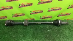 ���� �������� �������� NCP61, NCP31 Toyota, Scion, [4347029635], �������� 4347029635 ����