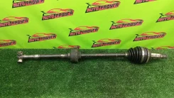���� �������� �������� NCP61, NCP31 Toyota, Scion, [4347029635], �������� 4347029635 ����