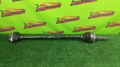 ���� �������� �������� BNZ11, NG11 39211EN100, ������ 39211EN100 ����