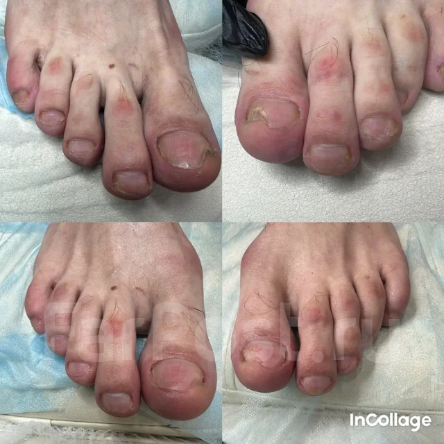 ������� ������� ����