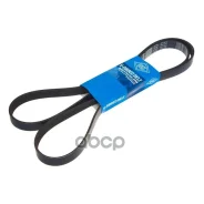 ������ ������������ Sun SUN 6PK1870 6PK1870 ����