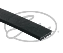 ������ ������������ XF Gates 5PK970 5PK970 ����