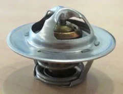 ��������� Motorad 54282 54282 ����