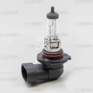 ����� H10 12V 42W DayNight Carberry 31CA4 31CA4 ����