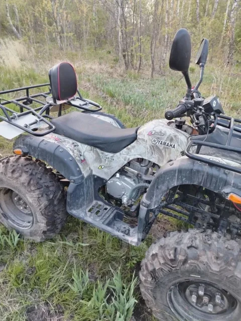 Yamaha Grizzly 250. ��������, ��, �� ����