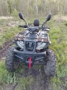 Yamaha Grizzly 250. ��������, ��, �� ����