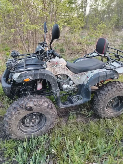 Yamaha Grizzly 250. ��������, ��, �� ����