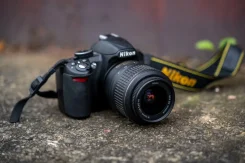 Nikon D3100. 10 - 14.9 ��, ���: ��� ���� ����