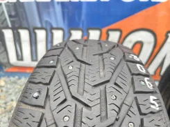 Tigar Ice. ������, ����������, 2021 ���, �/�, ����� 10 % ����