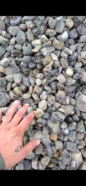 �����. ����