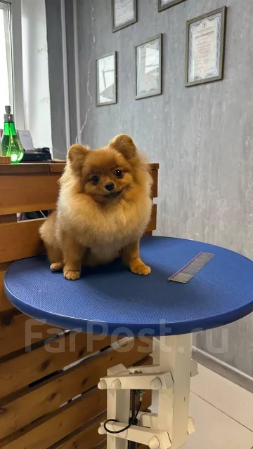 ����. ����