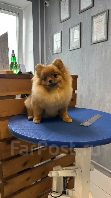 ����. ����