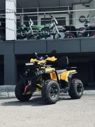 FXmoto Wasp