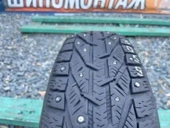 Kormoran Stud 2. ������, ����������, 2019 ���, �/�, ����� 15 % ����
