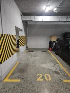 ����� �����������. ����
