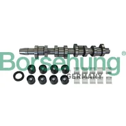 ����������� �����������! VW Passat/Golf/Touran 2.0TDi BMP/BMM/BVD 05 Borsehung B11307 Borsehung B11307 B11307 ����