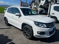 Volkswagen Tiguan. NF, CCZD ����