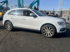 Audi Q5. 8R, CNCD ����