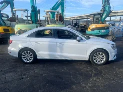 Audi A3. 8V, CXSA ����